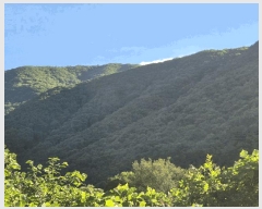  2025Ÿ��8682  �Ӿ߰��