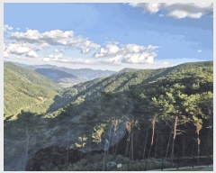  2025Ÿ��8682  �Ӿ߰��