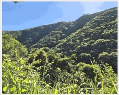  2025Ÿ��8682  �Ӿ߰��