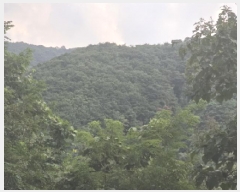  2025Ÿ��8682  �Ӿ߰��