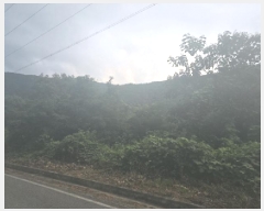  2025Ÿ��8682  �Ӿ߰��