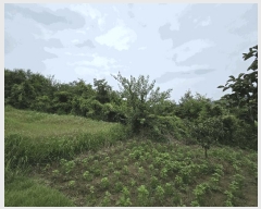  2025Ÿ��8742 ��� û���� ��õ�� ������ ��59      ����(�Ӿ�)���