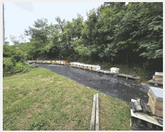  2025Ÿ��8742 ��� û���� ��õ�� ������ ��59      ����(�Ӿ�)���