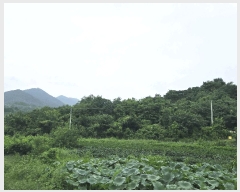  2025Ÿ��8742 ��� û���� ��õ�� ������ ��59      ����(�Ӿ�)���