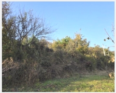  2025Ÿ��8742 ��� û���� ��õ�� ������ ��59      ����(�Ӿ�)���