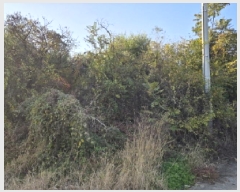  2025Ÿ��8742 ��� û���� ��õ�� ������ ��59      ����(�Ӿ�)���