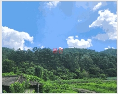  2025Ÿ��8763  �Ӿ߰��