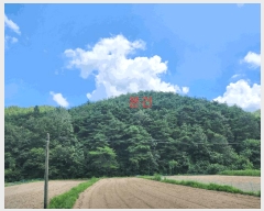  2025Ÿ��8763  �Ӿ߰��