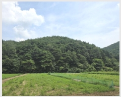  2025Ÿ��8763  �Ӿ߰��