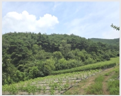  2025Ÿ��8763  �Ӿ߰��