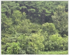  2025Ÿ��8763  �Ӿ߰��