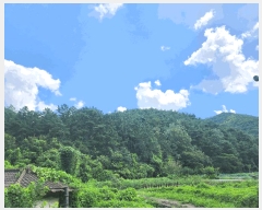  2025Ÿ��8763  �Ӿ߰��