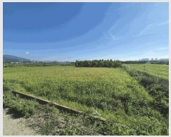  2025Ÿ��8811 ��� ���� ������ ��ȭ�� 1516      ����(��)���