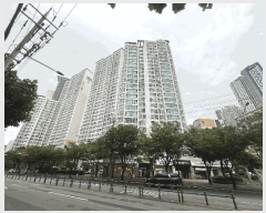  2025Ÿ��8811 ��� ���� ������ ��ȭ�� 1516      ����(��)���