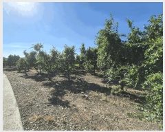  2025Ÿ��8811 ��� ���� ������ ��ȭ�� 1516      ����(��)���