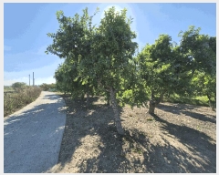  2025Ÿ��8811 ��� ���� ������ ��ȭ�� 1516      ����(��)���