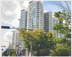  2025Ÿ��8811  ����Ʈ���