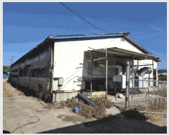  2025Ÿ��8933  ���(�󰡽ü�)���