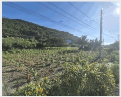  2025Ÿ��8978  ����