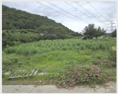  2025Ÿ��8978  ����