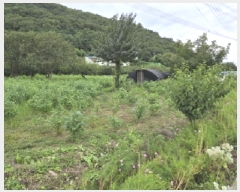  2025Ÿ��8978  ����