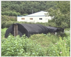  2025Ÿ��8978  ����