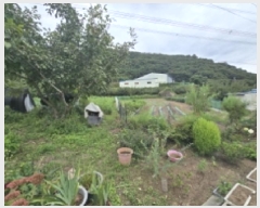  2025Ÿ��8978  ����