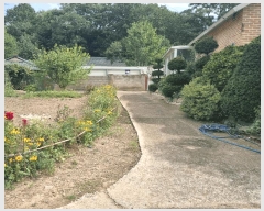  2025Ÿ��9093  ���ð��