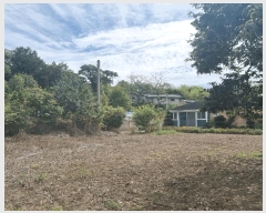  2025Ÿ��9093  ���ð��