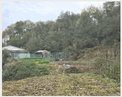  2025Ÿ��9536 ��� ��õ�� ��â�� ��ȸ�� 510      ����(����)���