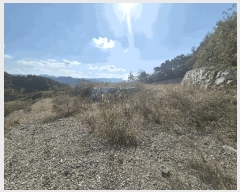  2025Ÿ��9572 ��� û���� �̼��� ������ ��133-2      ����(�Ӿ�)���