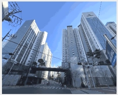  2025Ÿ��9931 �뱸 ������ ���̵� 1483 ���̻����׸��ھƿ�����ũ 109�� 20��2001ȣ    ����Ʈ���