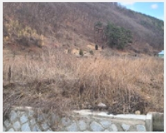  2025Ÿ��402 ��� û���� ȭ���� �Ҷ� 203      ����(��)���