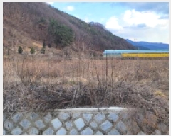  2025Ÿ��402 ��� û���� ȭ���� �Ҷ� 203      ����(��)���