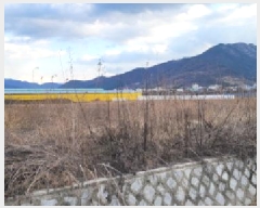  2025Ÿ��402 ��� û���� ȭ���� �Ҷ� 203      ����(��)���