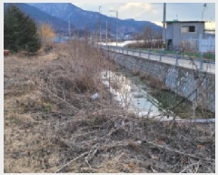  2025Ÿ��402 ��� û���� ȭ���� �Ҷ� 203      ����(��)���