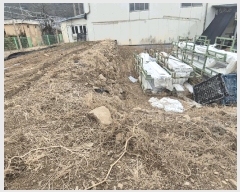  2025Ÿ��620 ��� ���� ��õ�� ������ 110      ����(����)���