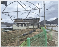  2025Ÿ��620 ��� ���� ��õ�� ������ 110      ����(����)���