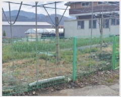  2025Ÿ��620 ��� ���� ��õ�� ������ 110      ����(����)���