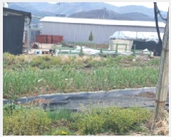  2025Ÿ��620 ��� ���� ��õ�� ������ 110      ����(����)���