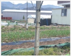  2025Ÿ��620 ��� ���� ��õ�� ������ 110      ����(����)���