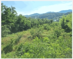  2025Ÿ��917  ���������