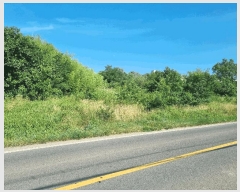  2025Ÿ��917  ���������