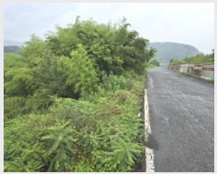  2025Ÿ��917  ���������