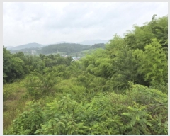  2025Ÿ��917  ���������