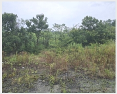  2025Ÿ��917  ���������