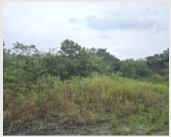  2025Ÿ��917  ���������