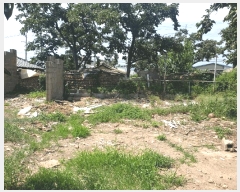  2025Ÿ��928  �������