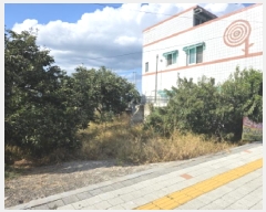  2025Ÿ��928  �������