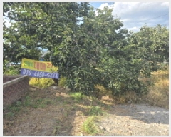  2025Ÿ��928  �������